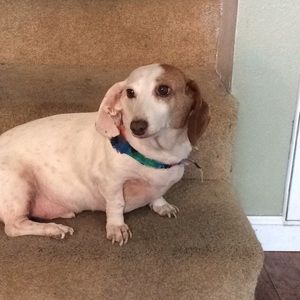 Meet your Posher, Guadalupe